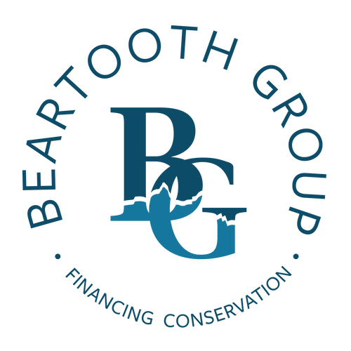 Beartooth Group logo
